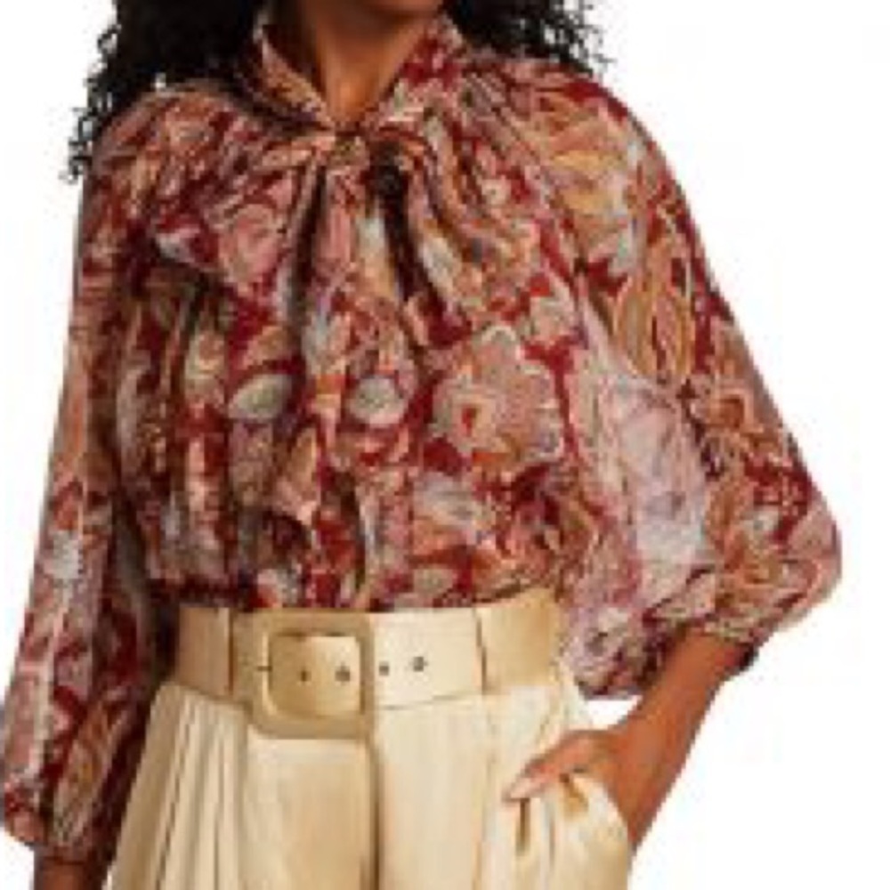 Zimmermann 100% Silk Ladybeetle Paisley Floral Tie-neck Blouse - Picture 6 of 7